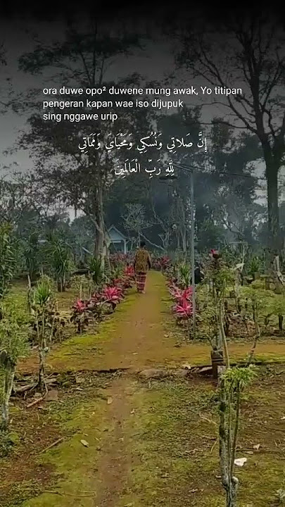 Jum'at Mubarok #sholawat #ilarosulallah #langitan #quotes #makam #ziarah #story #cintasholawat #fypシ