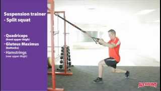 Suspension trainer split squat