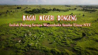 PESONA PADANG SAVANA WATUMBAKA SUMBA TIMUR NTT  || VIDEO DRONE TERBARU