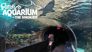 Ripley's Aquarium Of The Smokies (Gatlinburg) Tour & Review with The Legend