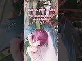 ✨🧚RPG🧚✨ essa fruta é dos humanos ▪️💜▪️