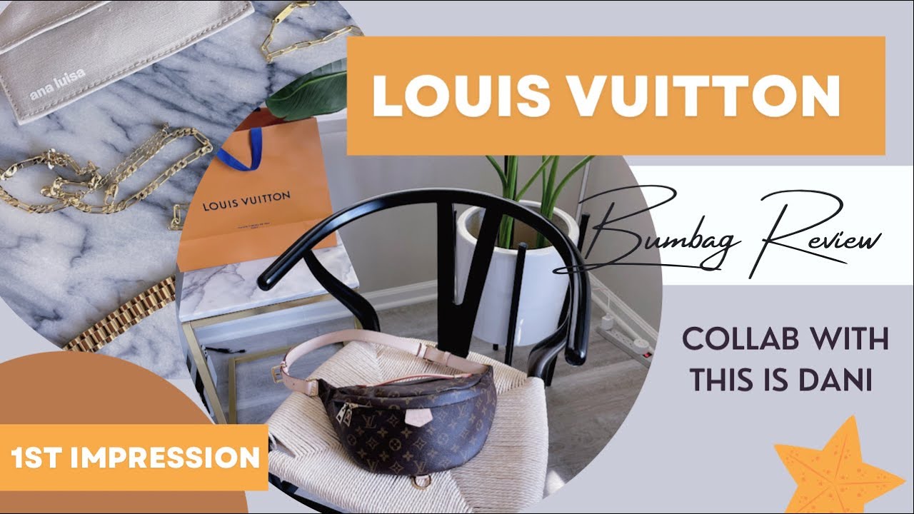 Louis Vuitton Bumbag Review, Collab with @DaniOchannel