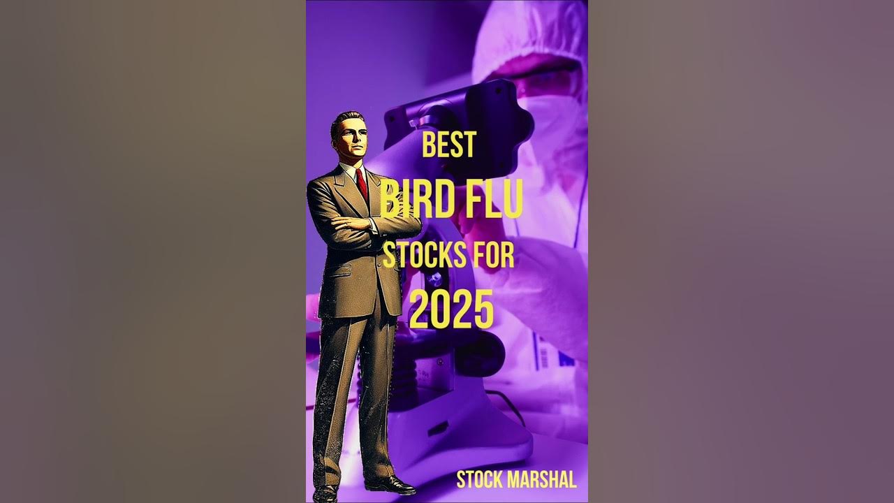 Best Bird Flu Stocks for 2025 YouTube