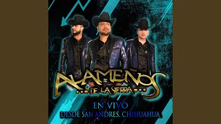 Video thumbnail of "Alameños de la Sierra - La Chayo"