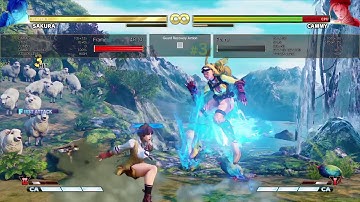 SFVAE: Sakura Crush Counter VSkill combo