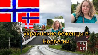 видео: что хочет знать о Вас НАВ если вы просите помощь 🇧🇻 картинка: что хочет знать о Вас НАВ если вы просите помощь 🇧🇻