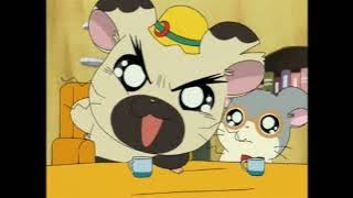 1 second of every episode of Hamtaro English dub