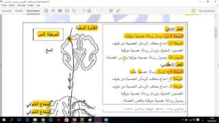 العرض 18 حل الجزء الاول من تمرين التصلب الجانبي الضموري