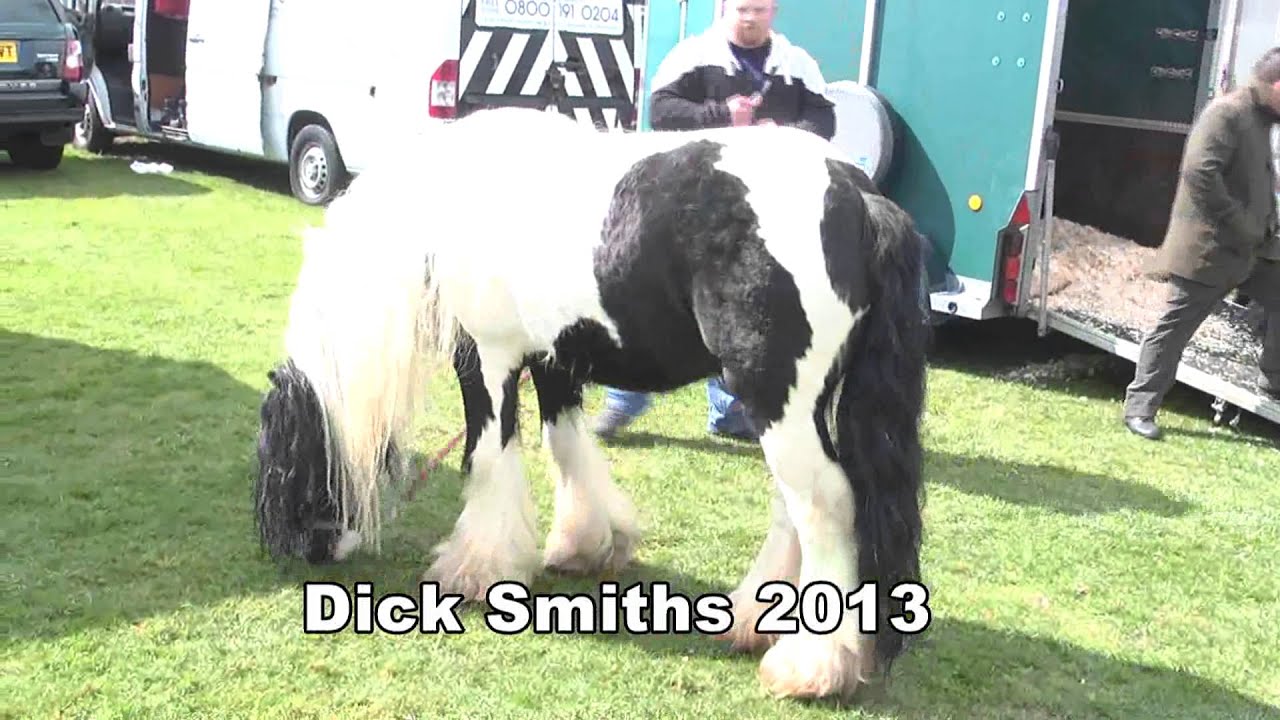 Dick Smiths 2013