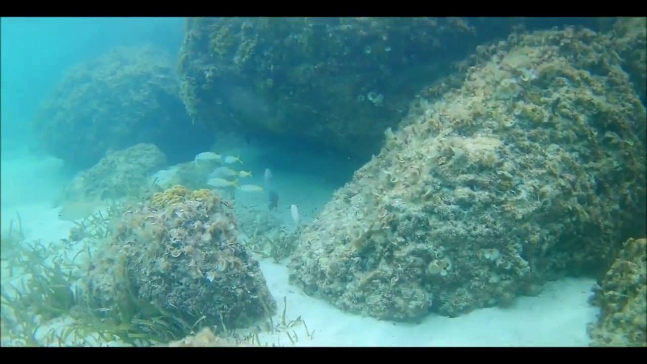 Snorkel Run Part 2 Cable Beach Nassau, Bahamas YouTube
