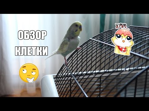 ОБЗОР КЛЕТКИ FERPLAST PALLADIO 3 DECOR | ОБЗОР КЛЕТКИ ДЛЯ ВОЛНИСТОГО ПОПУГАЯ | Aoi Inko