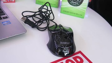 Chuột bosston đẹp mê hồn -Trực tiếp đánh giá