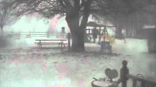Blizzard in Peoria Illinois February 1st 2011