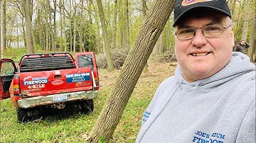 Pulling down and cutting hung up ash tree at honey hole