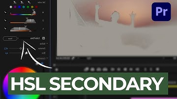 How To Use HSL-Secondary in Premiere Pro | Filmmaking Basics 🎬 | 100 SEC TUTORIAL