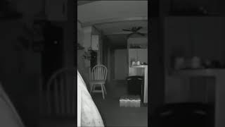 The ghost throws a chair #paranormal #ghosts #mysticism
