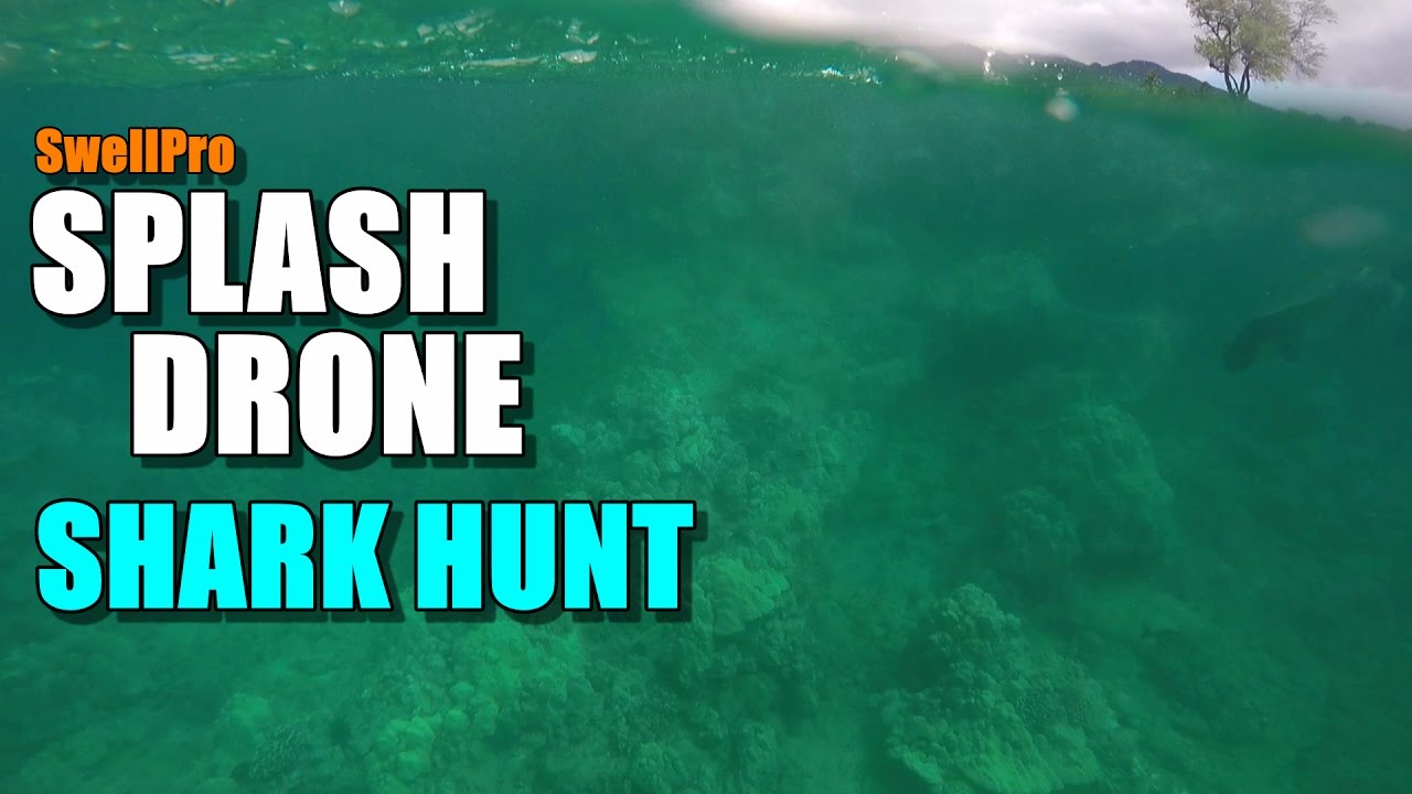 SwellPro Waterproof SPLASH DRONE Review - Part 4 - Shark Hunt! - YouTube