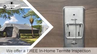 Pest Control Bartlett TN Best Pest Control Company Bartlett 901 Pest Control
