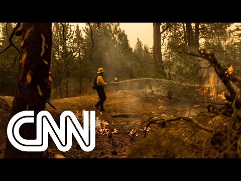 Vídeo: Corpo De Bombeiros De Sacramento Ajuda A Resgatar Burros Assustados Do Incêndio Na Califórnia