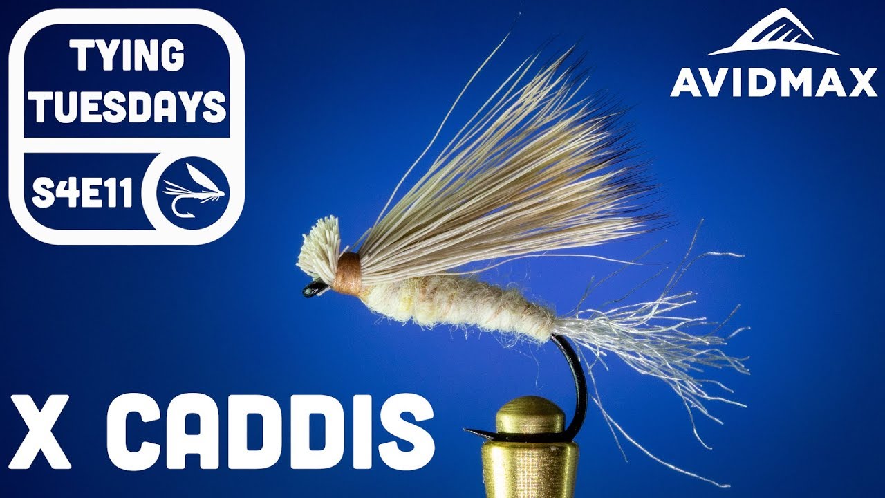 How to tie the X Caddis | AvidMax Fly Tying Tuesday Tutorials