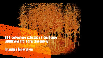 3D Tree Feature Extraction From Dense LiDAR Scans for Forest Inventory