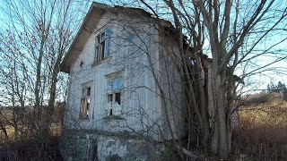 Abanoned House Nature Claims It Back