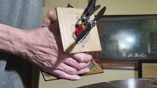 Cox Tee Dee .020 Glow Engine Test Run