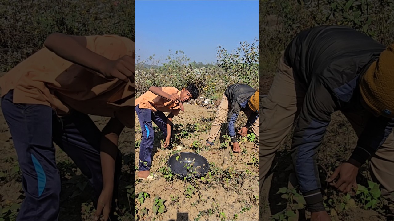 Apna Gao❤️ | Gaon Wala Status🥰 #villagestatus #nature