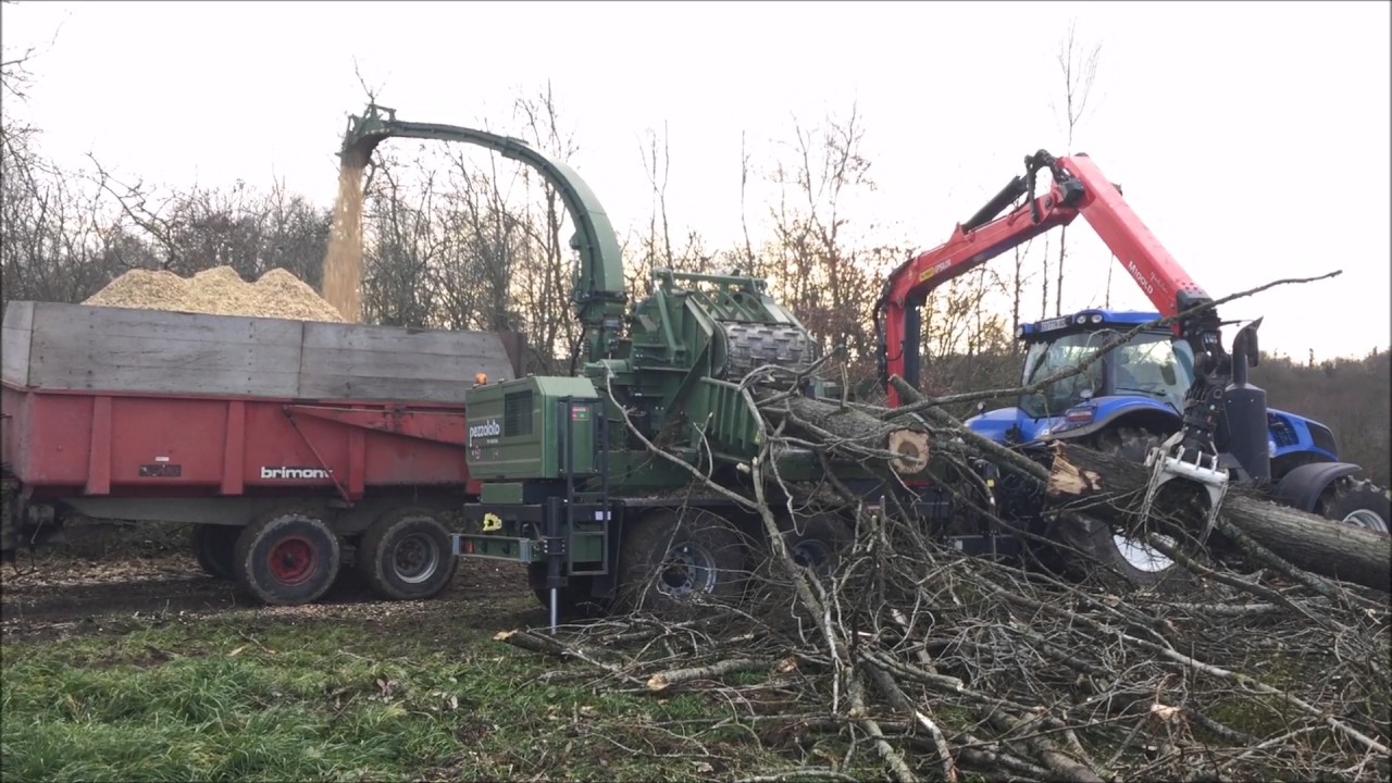 PEZZOLATO PTH 1000/1000 - Cippatore a tamburo/Drum chipper driven by ...