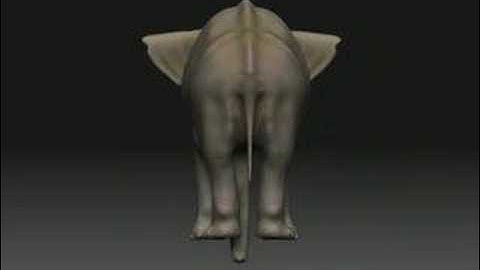Elephant 3D Model