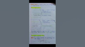 Ch:10 Light - Reflection and Refraction 🚨 Class 10 Physics Notes with Diagrams 🎯