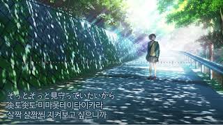 novelbright - また明日[가사/발음/자막]