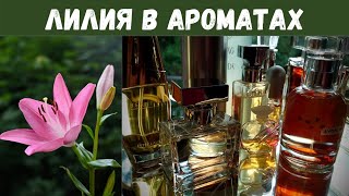 Любимые ароматы с нотой лилии | Лилия в парфюмерии