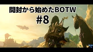 開封から始めたBOTW　#8