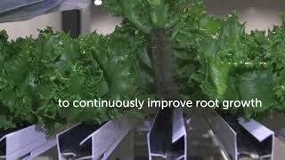 Ellepot Paper – More than just paper. Quality control is your guarantee of certainty.