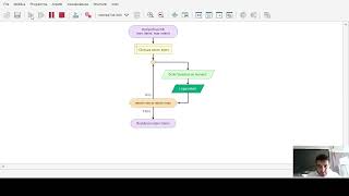 Flowgorithm - Verifica in classe - Funzione su ciclo, funzione controllo lettura e totalizzatore