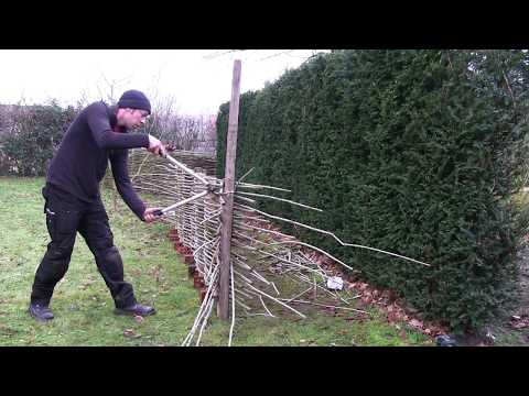 Video: How To Make A Wattle Fence In The Country With Your Own Hands - A Step-by-step Guide With Photos And Videos