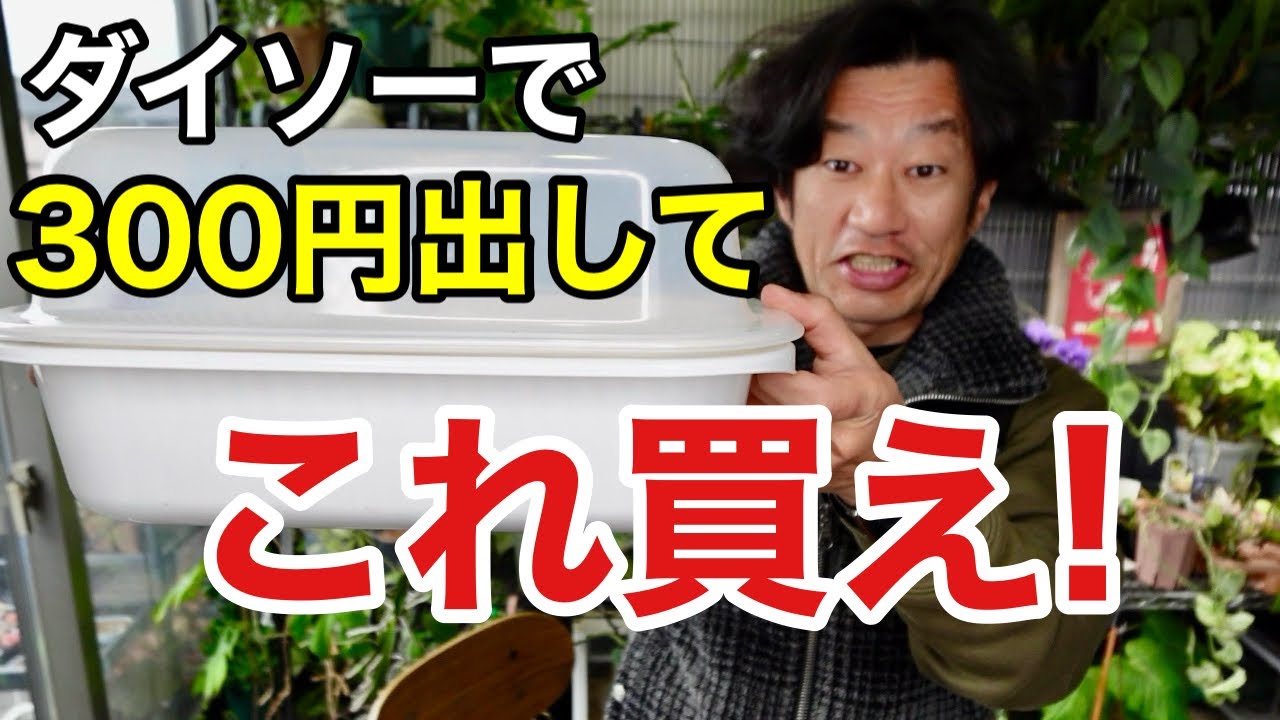 ダイソーの園芸神アイテム教えます　【園芸超人カーメン君】