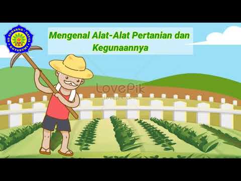 Kelas 2 Pelajaran 2 Materi Mengenal Alat Alat Pertanian Dan Kegunaannya Dalam Bahasa Lampung Youtube
