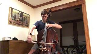 BSO at Home: Musicians | Tom van Dyck