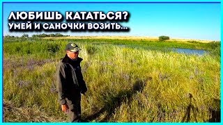 Не все коту масленица! Не все коту масленица!