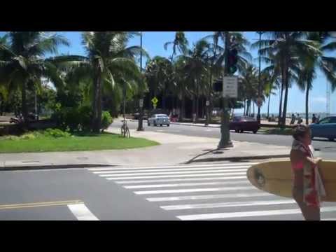 amazing-waikiki...