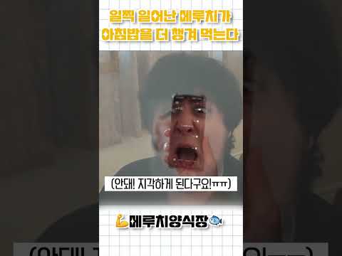 &amp;#39;일찍 일어난 <strong>메루치가</strong> 더 많은 밥을 먹는다&amp;#39; #shorts