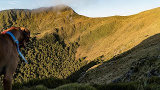 West Coast Chamois and Deer Hunt feat. Sway