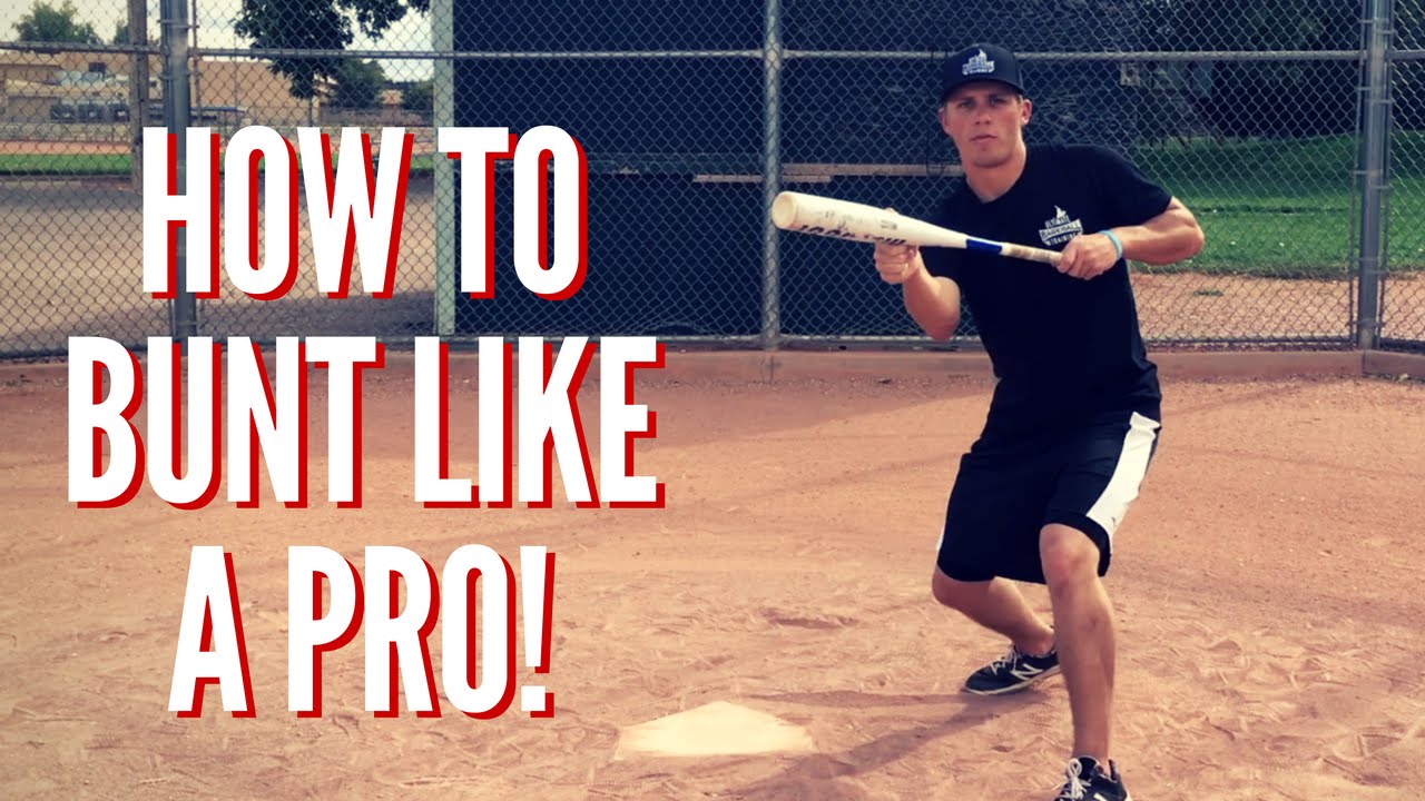 Baseball Bunting Bunt Like A Pro! - Baseball Hitting Tips -