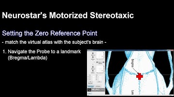 Motorized Stereotaxic 5 Setting the Zero Reference Point