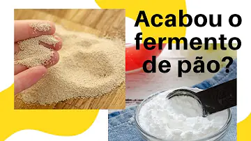 Qual é o microrganismo que trabalha para a massa de pão ou de bolo crescerem?