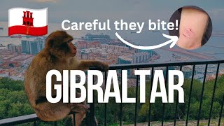 Explore the Rock of Gibraltar | Ultimate Travel Guide & Tour
