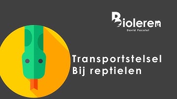 Bioleren - Transport bij reptielen
