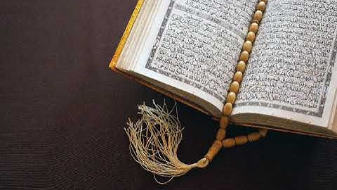 تلاوة من سورة الكهف بصوت القارئ أحمد نعينع (قال له صاحبه وهو يحاوره أكفرت باللذي خلقك) تلاوة نادرة❤️